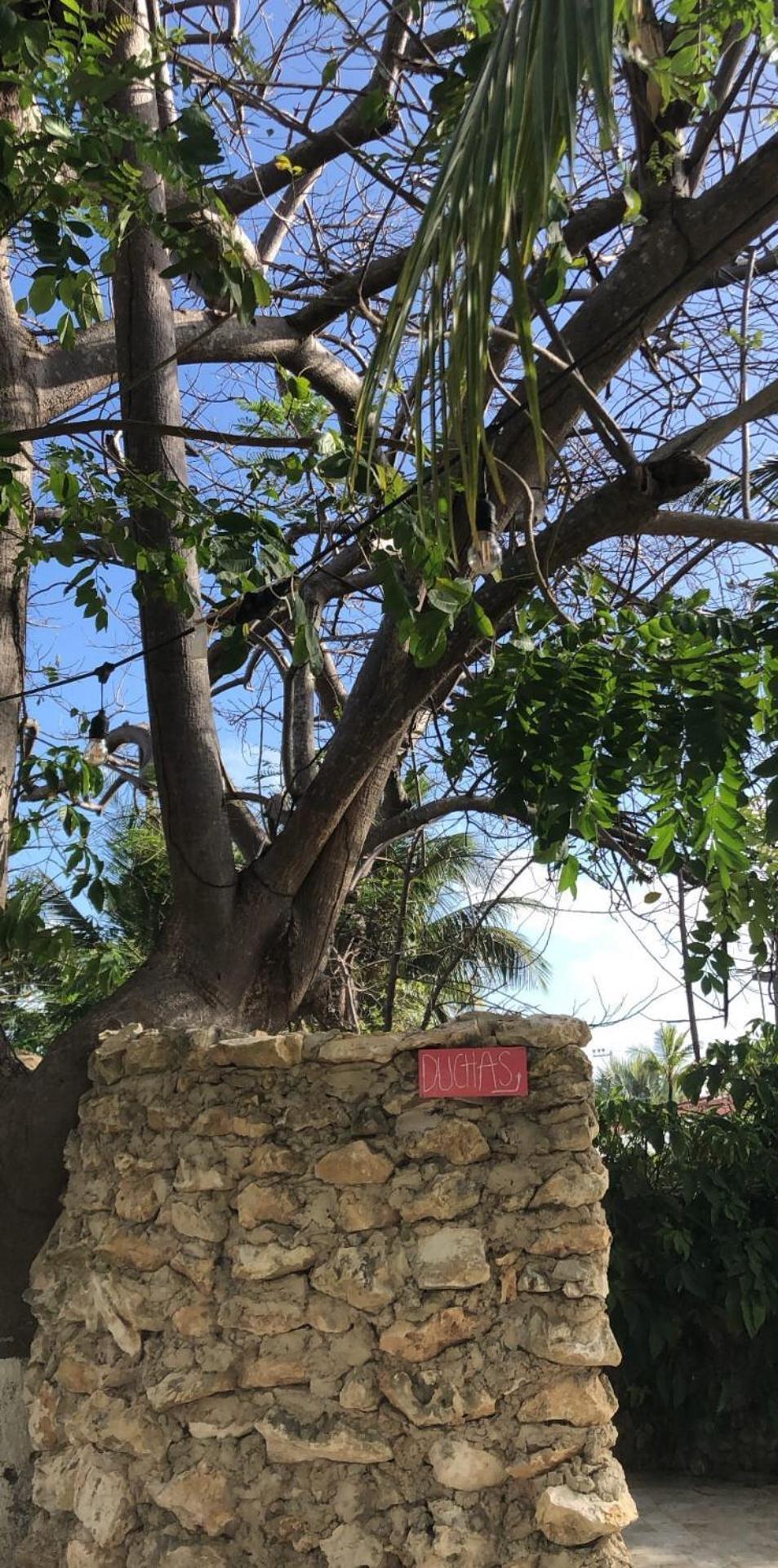 Casona La Carolina Villa San Andrés Exteriör bild